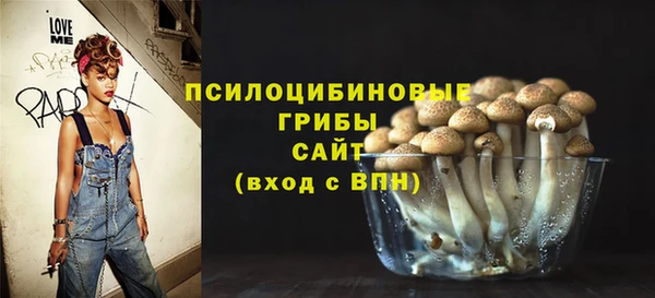 2c-b Новодвинск