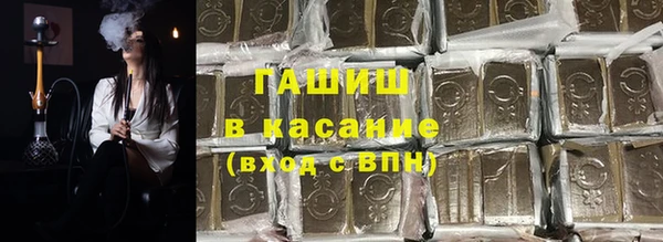 ГАЛЛЮЦИНОГЕННЫЕ ГРИБЫ Дмитриев