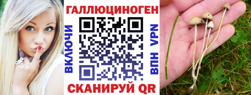 Галлюциногенные грибы Psilocybine cubensis  Котельники 