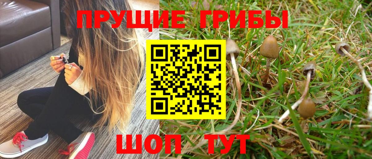 Псилоцибиновые грибы ЛСД  Галлюциногенные грибы GOLDEN TEACHER  Котельники 