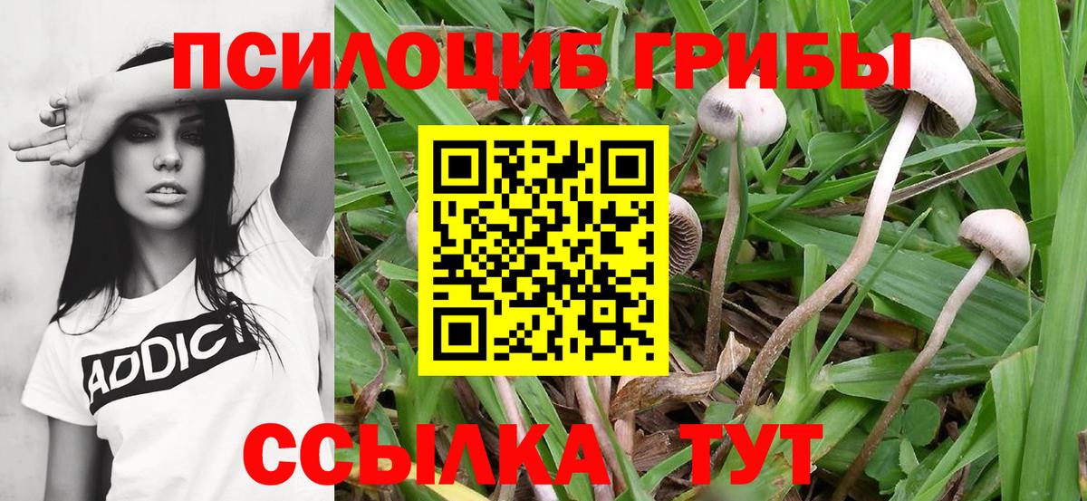 Котельники  Вход с VPN  Cocaine  MDMA  Канабис  Мяу-Мяу  ГАШИШ 