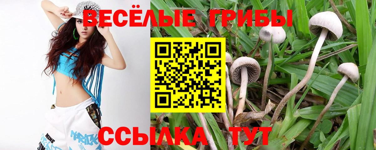 Псилоцибиновые грибы ЛСД  Вход с VPN  Котельники 