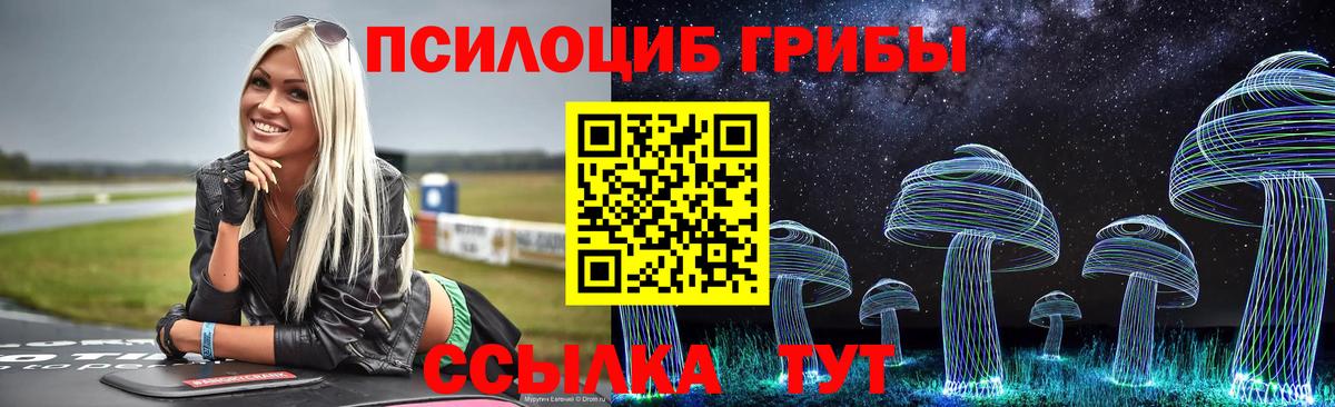 Галлюциногенные грибы MAGIC MUSHROOMS Котельники