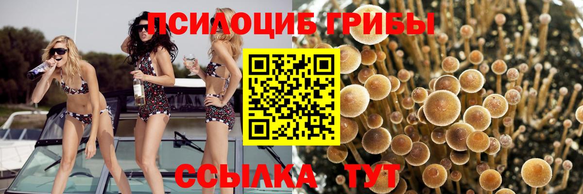 Псилоцибиновые грибы прущие грибы Котельники